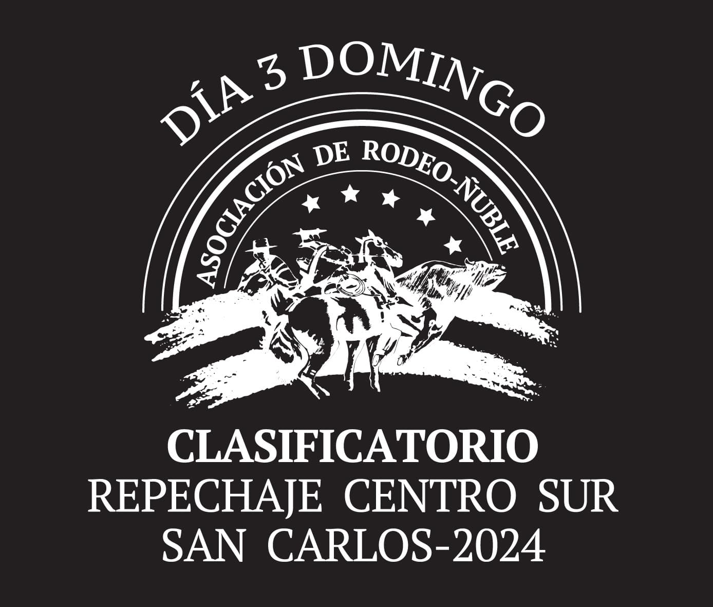 Clasificatorio Repechaje - Día Domingo image}