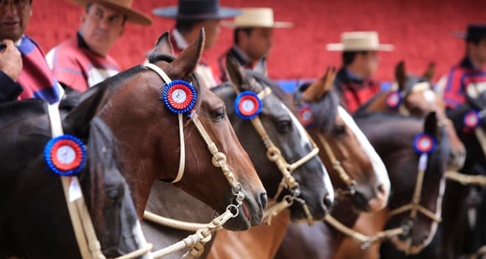 Asociación de Rodeo Chileno Ñuble - Portada de eventos